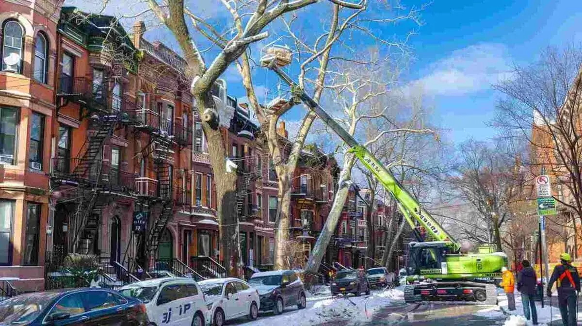 Image showing Single-Family Home